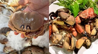 Cúm núm Quảng Ngãi: Đặc sản cua lạ “nhỏ mà ngon”, ai ăn thử cũng nhớ