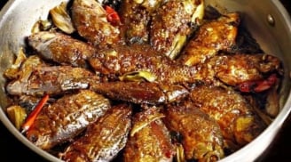 Loài cá “sống thọ” ngoài tự nhiên, bổ ngang nhân sâm, giá siêu rẻ nhưng nhiều người vẫn chê