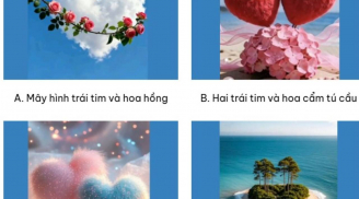 Trắc nghiệm: Chọn 1 hình, bật mí ngay bạn có bao nhiêu % sức hút với người khác giới