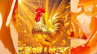 10 ngày đầu tháng 5: 3 tuổi xoay chuyển tình thế, công việc bất ngờ mở hướng mới