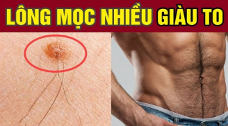 3 vị trí càng nhiều lông càng giàu có