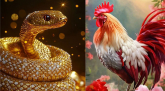 Đúng Chủ nhật 29/3: 3 con giáp được “trao cơ hội tận tay”, nhanh là thắng, chậm là lỡ
