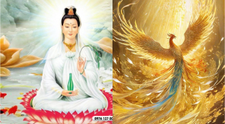 Hoa rơi cửa phật: 3 con giáp được Quan Thái Âm Bồ Tát che chở, biến hung thành cát