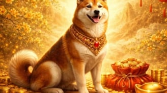 3 năm 2026-2027-2028, Ông Địa nhắm vào 3 con giáp mua đất sinh vàng, Tiền đến nhân đôi