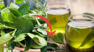 5 người nên thường xuyên uống trà xanh