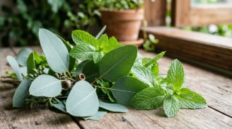 Cách đuổi muỗi tự nhiên tại nhà: Trồng 9 loại cây này là thấy khác biệt