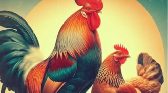 Cuối tháng 4 bứt tốc: 3 tuổi càng về sau càng sáng cửa thăng tiến, dễ được cất nhắc