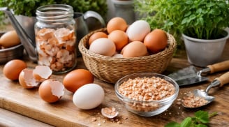 Đừng vội vứt vỏ trứng: 6 công dụng “vàng” giúp tiết kiệm tiền và sống xanh mỗi ngày