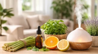 5 cách đuổi muỗi tự nhiên hiệu quả, dễ làm tại nhà, không cần hóa chất