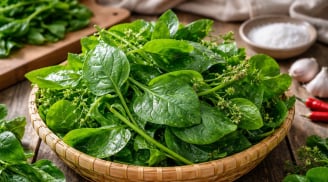 5 trường hợp nên cẩn trọng khi ăn rau mồng tơi: Tưởng lành mà không phải ai cũng hợp