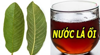 5 người nên thường xuyên uống nước lá ổi