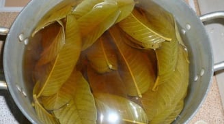 5 người tuyệt đối không nên uống nước lá ổi: Càng uống càng sinh bệnh