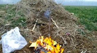 Đi tảo mộ dịp Thanh Minh: Tránh ngay 2 khung thời gian này kẻo rước họa vào thân