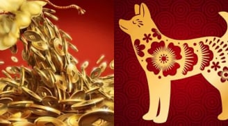 Đúng 26 ngày tới: 3 con giáp chạm đỉnh tài lộc, vừa giàu vừa đón hỷ sự