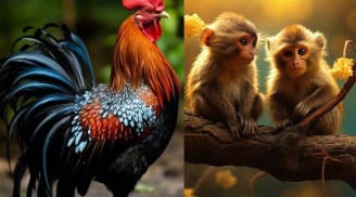 Từ 14/4-4/5: 3 con giáp khôn khéo chớp thời cơ, xoay chuyển vận mệnh, cơ hội sạch nợ trong tầm tay