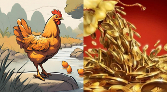 Vượt Tam Tai, sau 45 tuổi: 4 con giáp được ánh sáng tài lộc chiếu rọi, đổi vận giàu sang, tiền chất đầy két