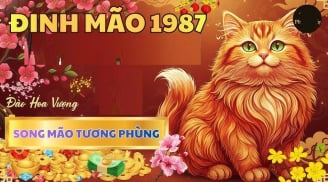 20 ngày tới Thần Tài đến muộn, 4 con giáp mở tiệc ăn mừng, tiền về như thác đổ