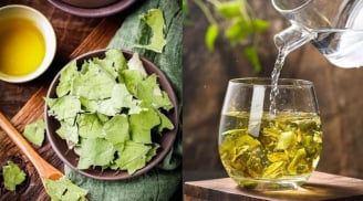 Uống nước lá sen, cơ thể nhận được 4 loại ích tuyệt vời