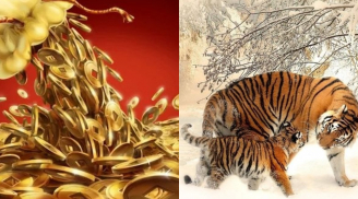 3 con giáp thời tới cản không kịp: Thứ Tư (8/4) vận đỏ rực, thứ Năm đến cuối tuần tiền đầy ví