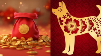 Từ tuổi 40, Thần Tài dúi tiền tận tay 3 con giáp: Tiền vào cửa trước, vàng vào cửa sau, no nê tài lộc