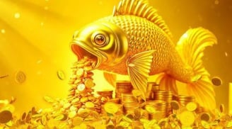 Phúc lành nhân đôi theo tuổi tác: 4 con giáp càng thêm tuổi càng Kiếm Đậm