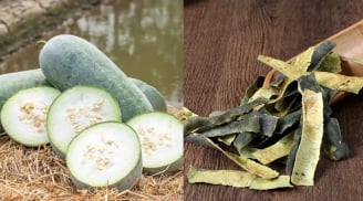 Vỏ bí đao (bí xanh) bị đem bỏ đi hóa ra lại là vị thuốc quý, mang lại 5 lợi ích đặc biệt