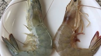 Cách phân biệt tôm nuôi và tôm tự nhiên chuẩn nhất 2026: Mẹo đơn giản ai cũng làm được