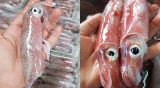 Mẹo phân biệt mực tươi và mực đã bị ướp đá lâu