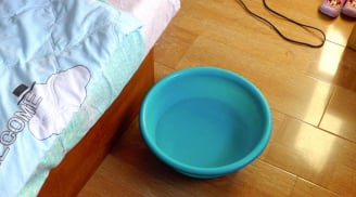 Vì sao nên đặt một bát nước trong phòng khi bật điều hòa? Chuyên gia giải thích khiến nhiều người bất ngờ