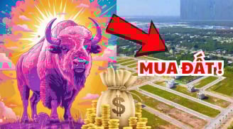 3 tháng tới 4-5-6/2026: 3 tuổi vào vận Phú Quý, làm việc lớn có người nâng đỡ