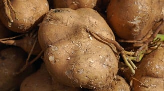 5 người không nên ăn củ đậu