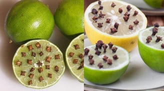 Cắm thứ này vào quả chanh và đặt ở góc nhà, muỗi nhiều mấy cũng hết sạch