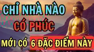 Nhà có điểm này càng ngày càng nhiều phúc khí