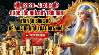 Thổ công chỉ điểm, 3 tuổi cung điền trạch bật sáng, Đất nở ra Tiền