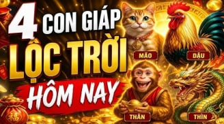 4 con giáp có số Tụ Tài trong năm 2026, vận may đến ngay trước cửa