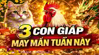 Thứ Hai, Ba, Tư (13,14,15/4): 3 tuổi Mưa Tiền Đổ Bộ, giàu nhất số 2