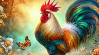 Từ 16/4: 3 con giáp vượt khó khăn, công việc bật lên rõ rệt từng bước