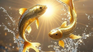 Thứ Năm, Sáu (16-17/4): 2 cung hoàng đạo “ra cửa thấy tiền”, 1 cung dễ thất thoát tài chính