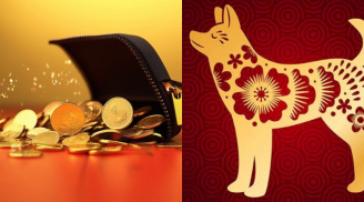 Vận số xoay chiều: 4 con giáp thoát khó, từ tháng 5 đến tháng 11 làm ăn phất lên, thu nhập tăng vùn vụt