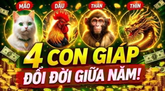 4 con giáp Đổi Đời giữa năm, Lộc Tiền Tài hưởng mãi không cạn