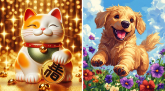 Thứ Năm, Sáu, Bảy (16,17,18/4): 3 tuổi Bão Tiền Xối Xả, giàu nhất vị trí số 2