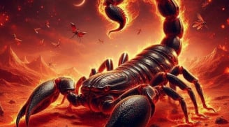  Tháng 5-6 biến động mạnh: 2 cung hoàng đạo gặp quý nhân nâng đỡ, 1 cung cần đề phòng tiểu nhân