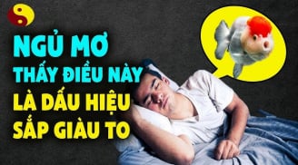 4 giấc mơ điềm báo may mắn bạn sắp có khoản tiền lớn