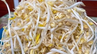 5 loại rau “vua thải độc” trong mùa nắng nóng, chợ Việt bán rất nhiều