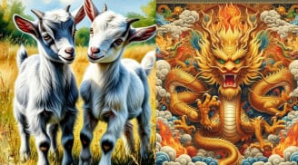 Từ 22/4-2/5: 2 con giáp “đi đằng Đông thấy vàng, Tây thấy bạc”, 1 tuổi dễ hao tài bất ngờ