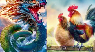 Thứ Sáu, Bảy, Chủ Nhật 24-26/4: 2 con giáp đón cơ hội bất ngờ, 2 tuổi nên hạn chế đi xa