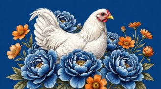 Nửa cuối 2026: 4 con giáp có dấu hiệu “trúng sóng tiền”, tài lộc có thể ập đến bất ngờ