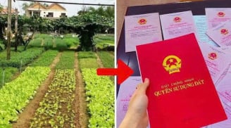 Từ năm 2026, chi phí chuyển đất vườn lên đất ở mất bao nhiêu tiền?