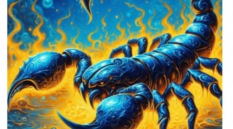 Chủ nhật 26/4: 3 cung hoàng đạo dễ gặp rắc rối khi đi chơi vì nóng nảy, càng vui càng phải giữ bình tĩnh