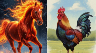 Tuần 27/4-3/5: 3 con giáp bật tăng thu nhập phụ, cơ hội đến dồn dập khó ngờ